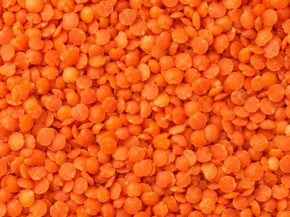 Kırmızı Mercimek